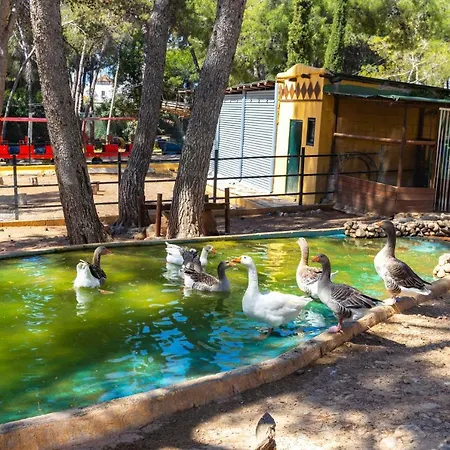 Fuerte De Nagueles *