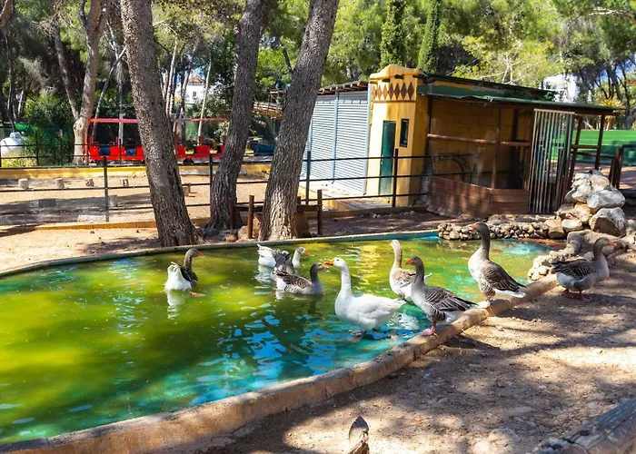 Fuerte De Nagueles *